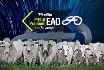 7º LEILÃO MEGA PREMIUM EAO VIRTUAL - ASPIRAÇÕES